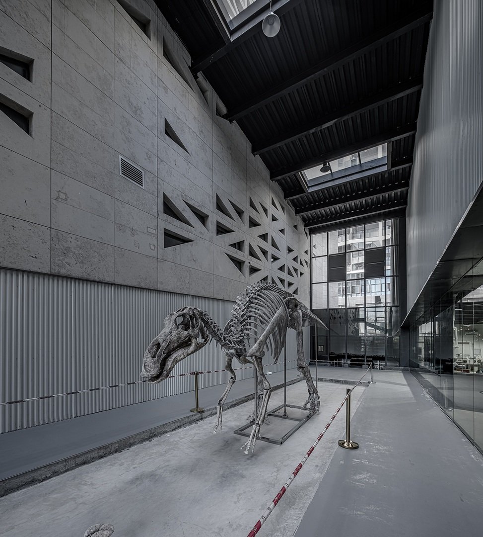 Exhibition space | Atelier Alter Architects