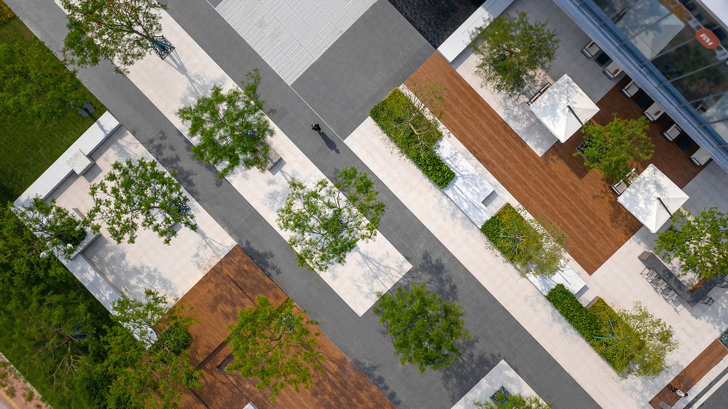 Aerial view of Tree-lined plaza | Chao Yue Shi Jue