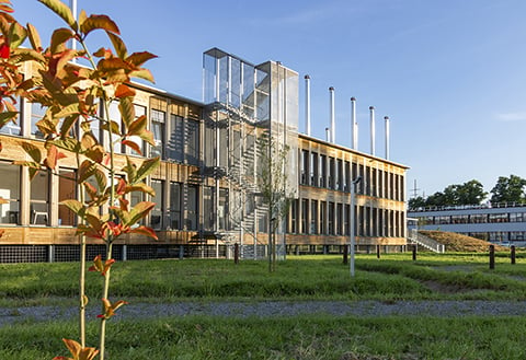 A fully demountable, timber building for the Province of Namur's Administrative Centre