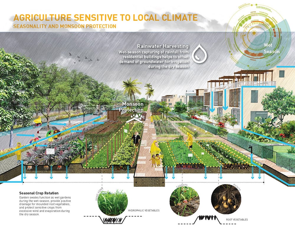 Agriculture Strategy Sensitive to Local Climate | 