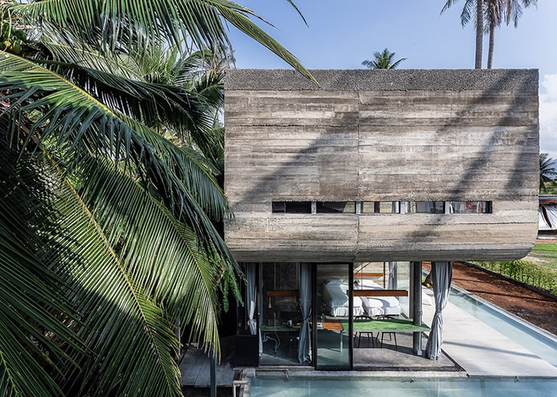 South view : Solid Concrete Wall and Coconut Leaf / Texture | Anotherspacestudio|Piamphon Chanpiam