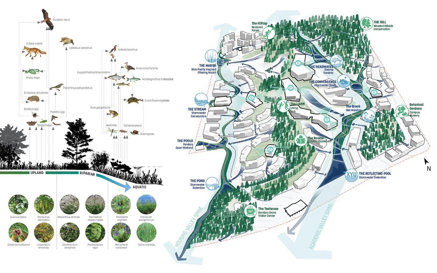 LANDSCAPE & ECOSYSTEM SERVICES: Topography and natural drainage play key roles in the campus planning to incorporate ecologically enriching landscapes. | SASAKI