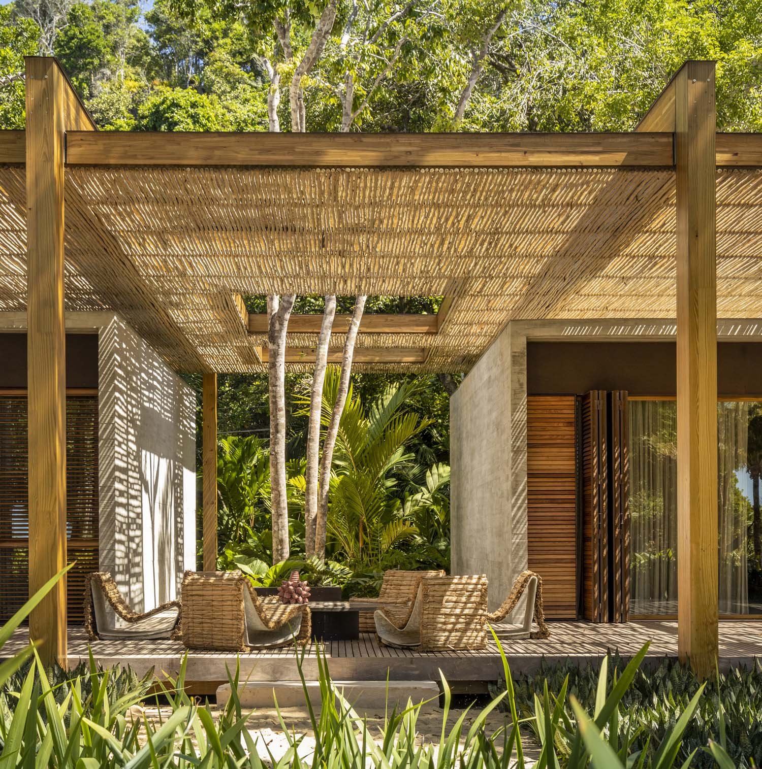The continuity of the twelve rectangular openings in the canopy is interrupted by several trees that are embraced by the deck. | Fernando Guerra