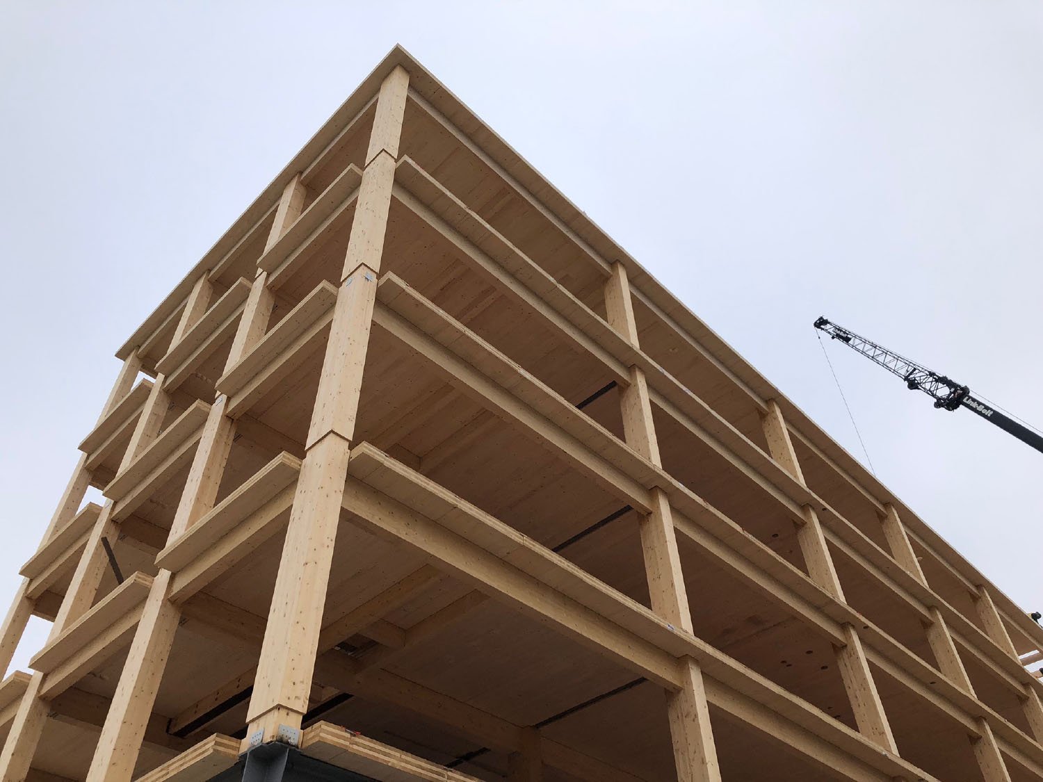 Construction Photo Showing Timber Structure | Leers Weinzapfel Associates