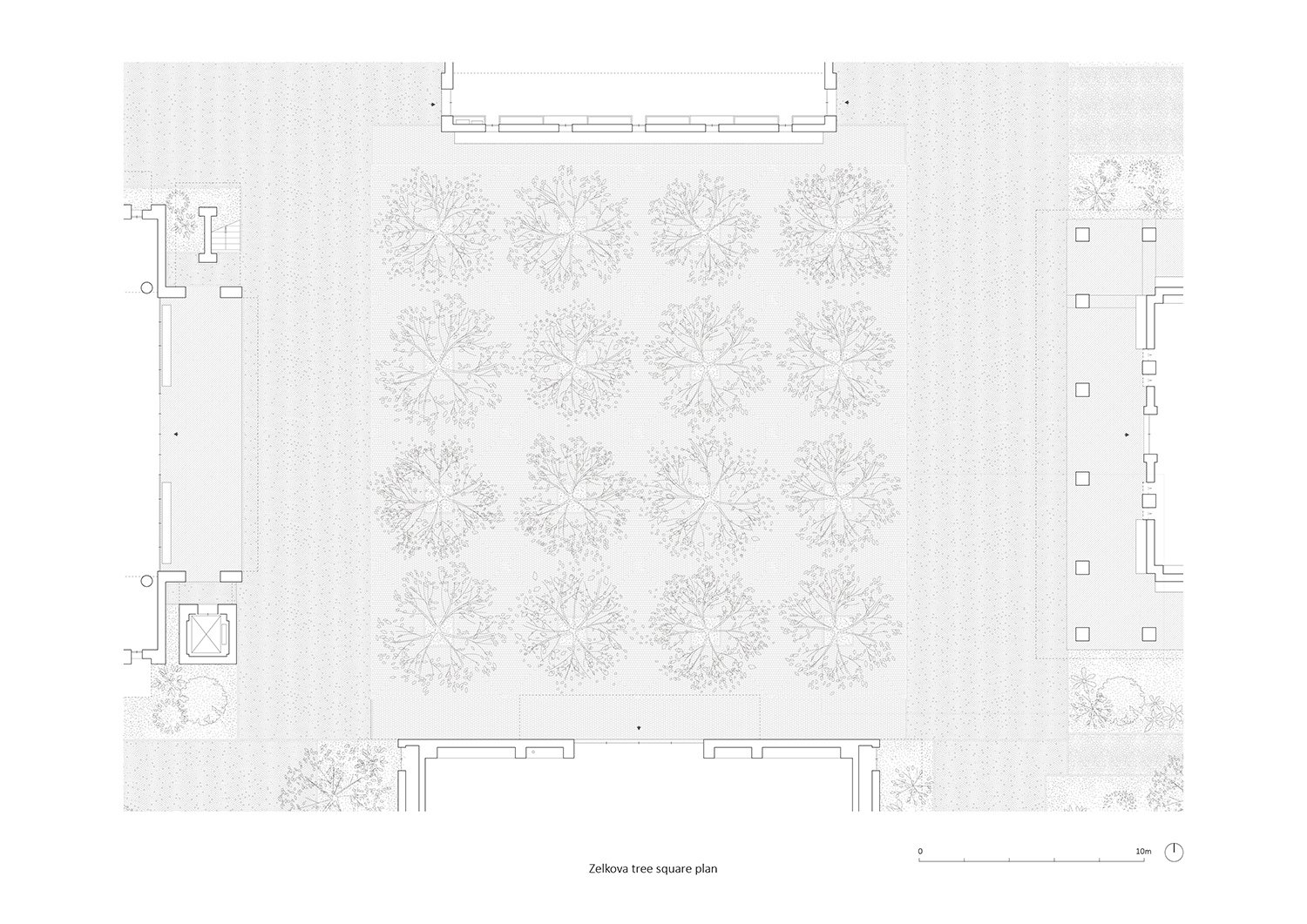 Zelkova tree square plan | genarchitects