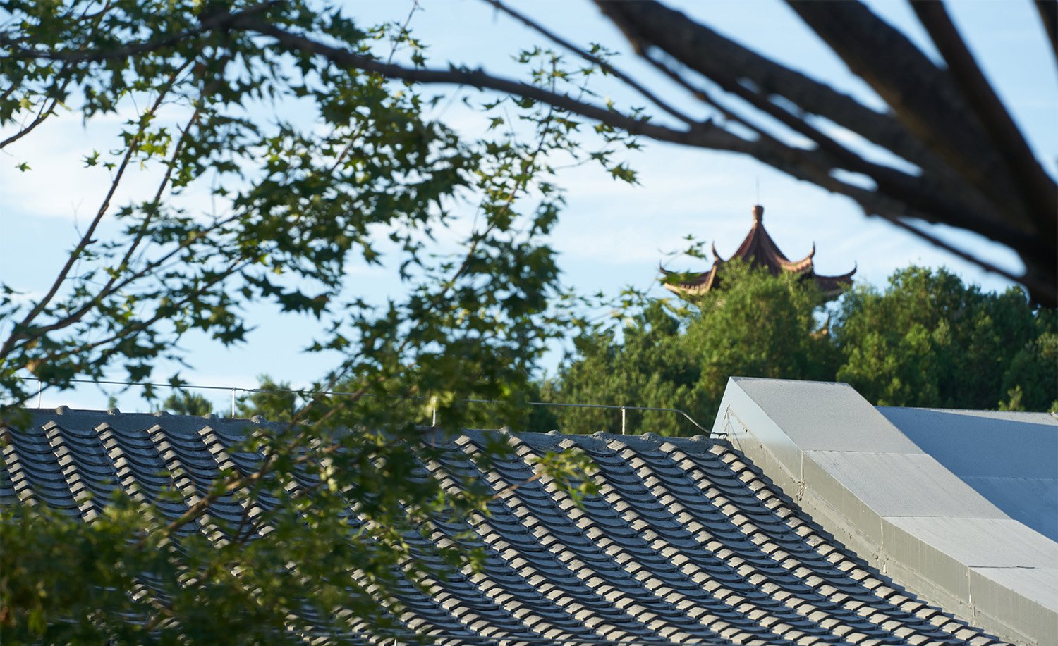 Courtyard  detail 01 | TIANHUA