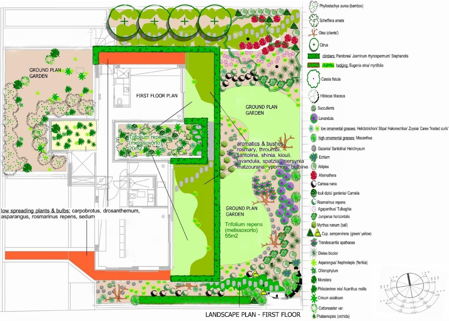 landscape plan | solomou landscaping