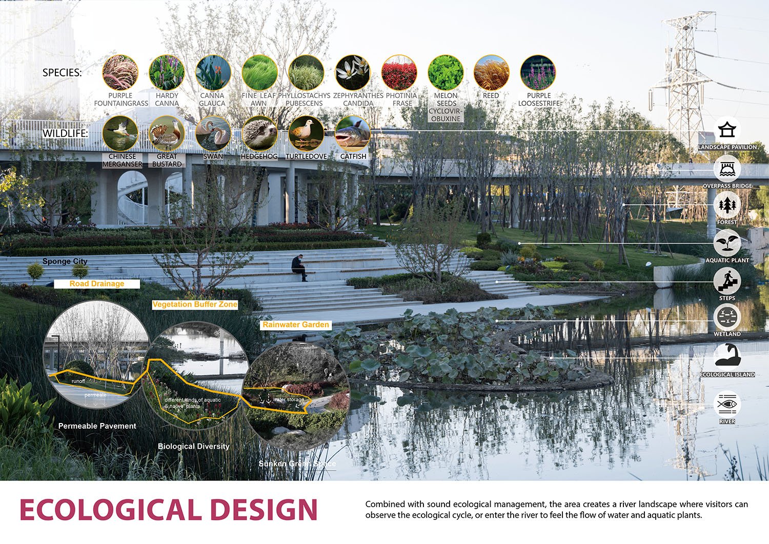 Ecological Design | GVL Design Group