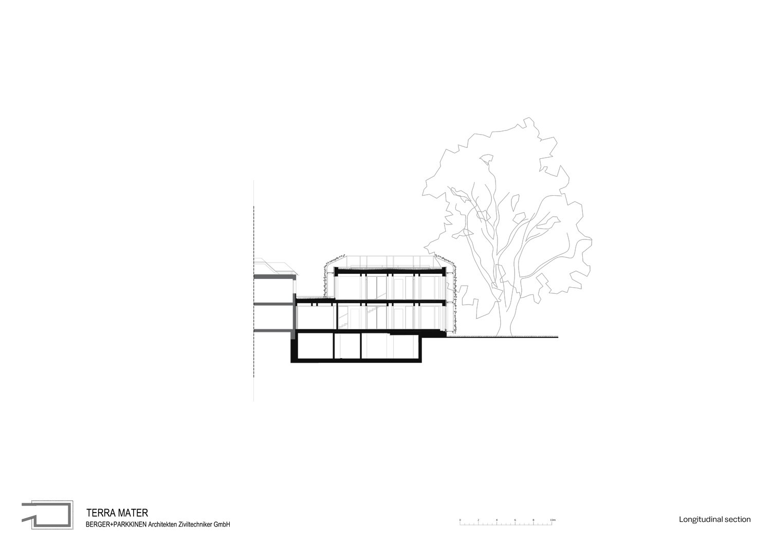 Longitudinal section Terra Mater | Berger Parkkinen Architekten
