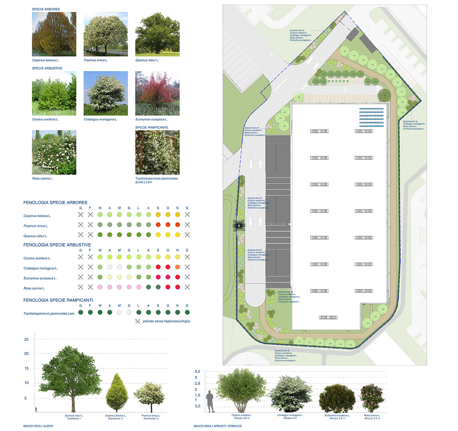 Landscape plan WHD | Ing. Filippo Salis, Arch. Stefania Mannironi, Ing. Emanuela Plasmati, Arch. Irem Okandan, Ing. Caterina Panteghini, Ing. Paolo Faccioli