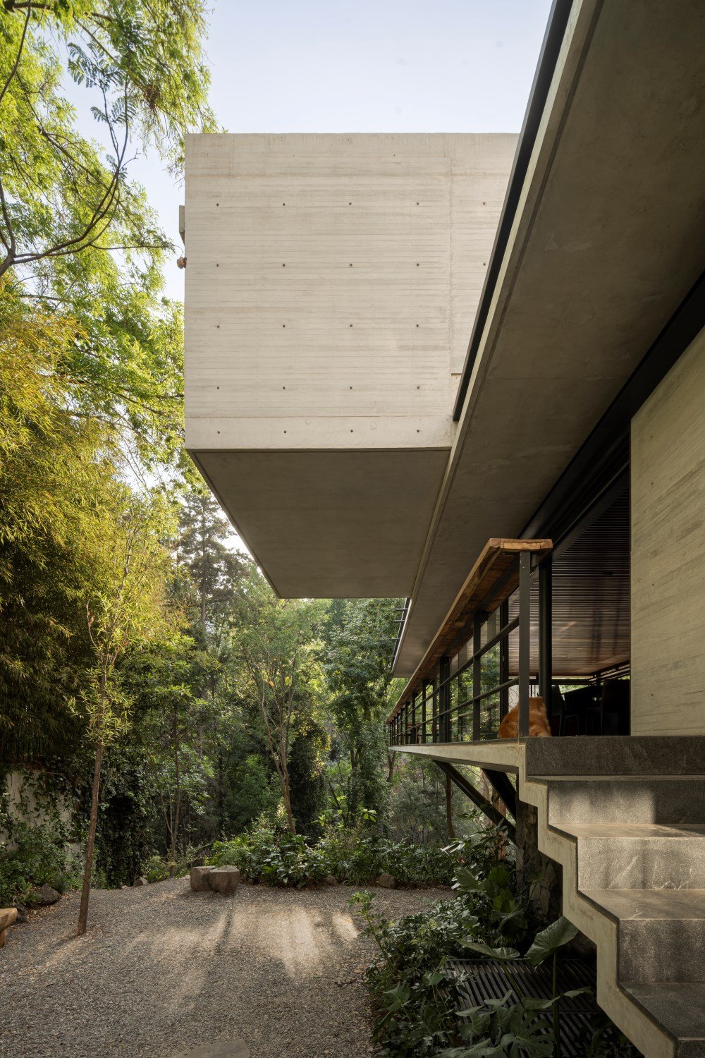 ITAMBE HOUSE | CESAR BELIO
