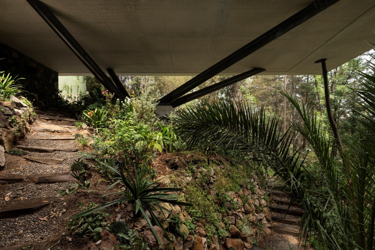 ITAMBE HOUSE | CESAR BELIO