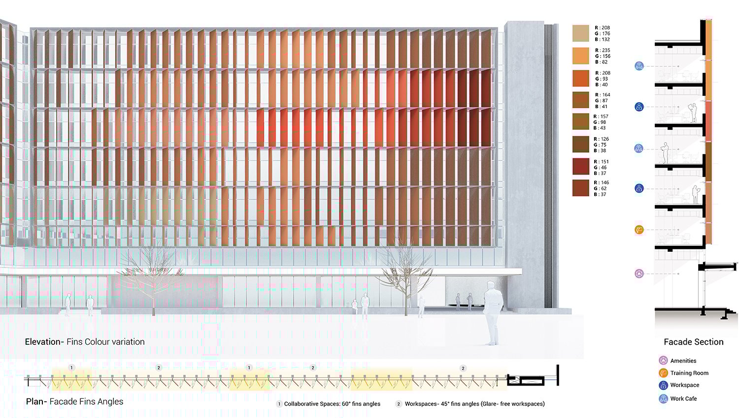 Elevation with Colour Code and Fin Angles | Morphogenesis