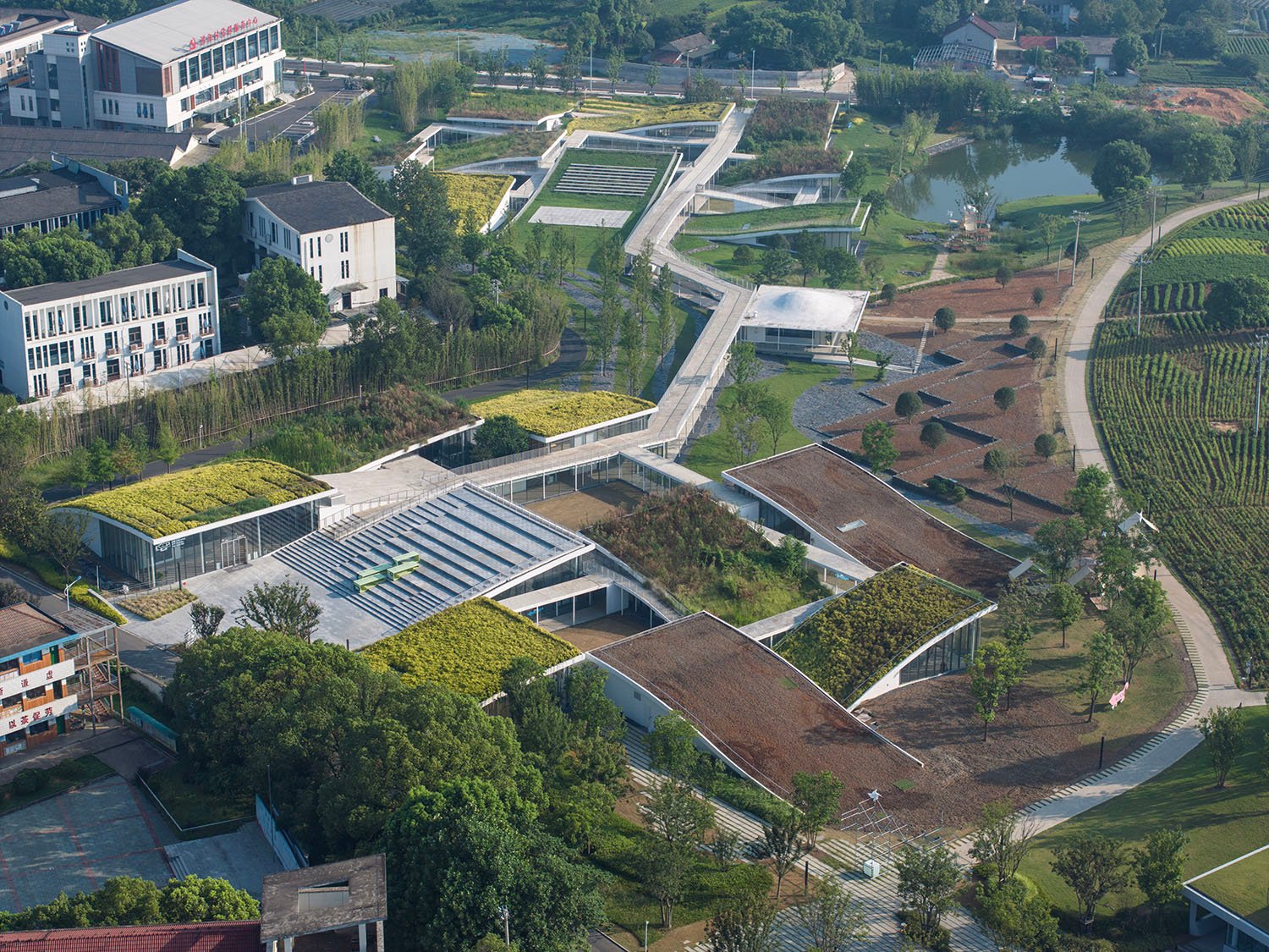 Aerial View | Tian Fangfang