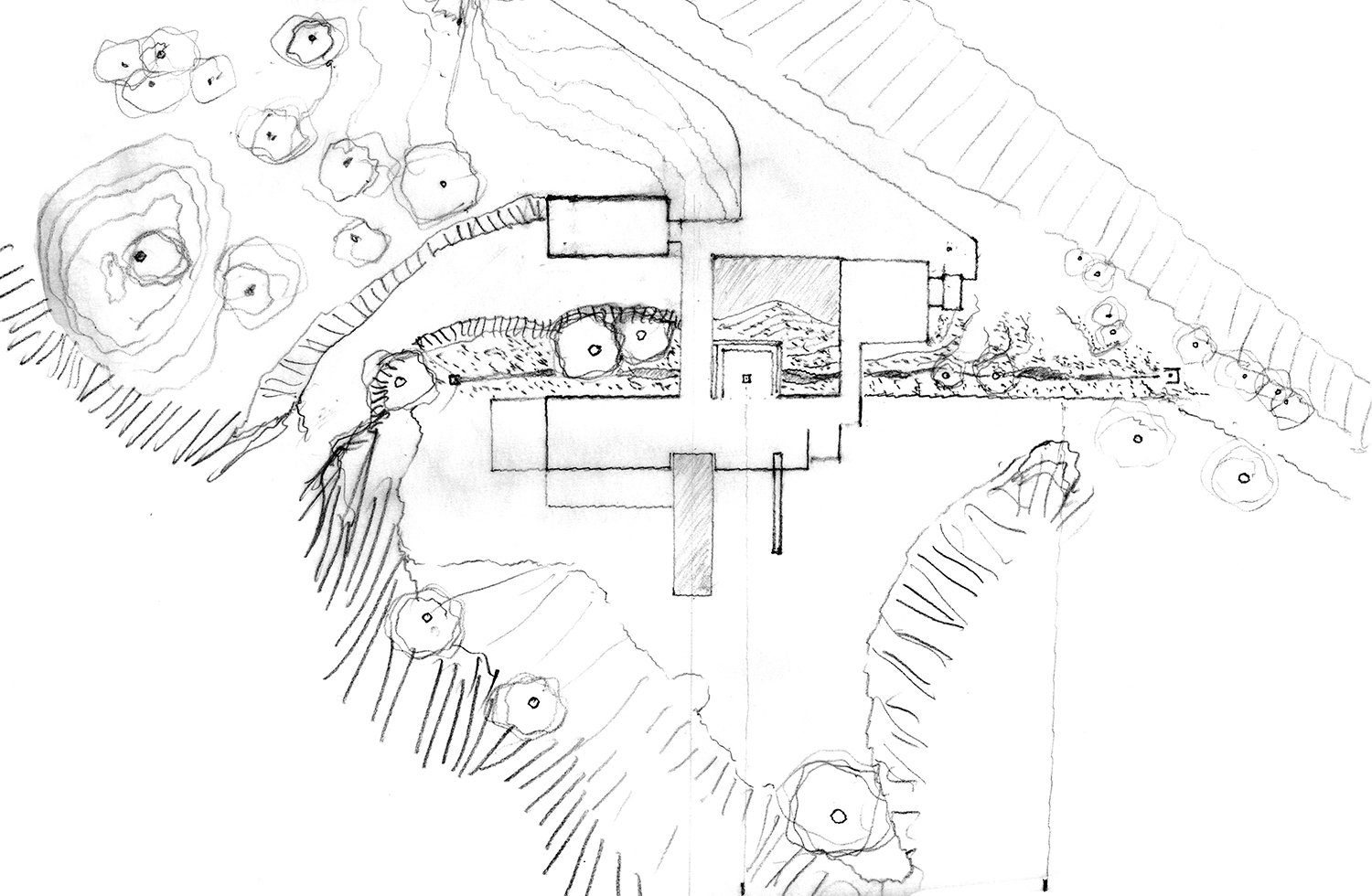 Conceptual plan | Field Architecture