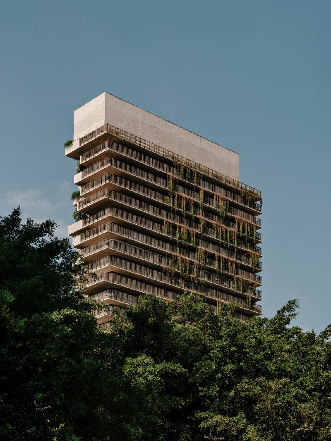 Facade | Fran Parente