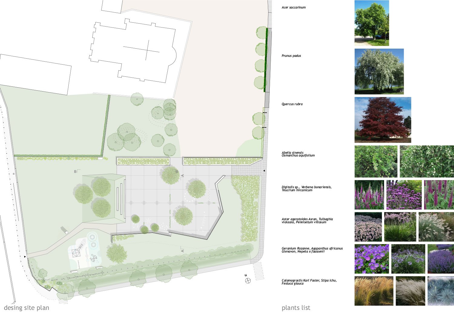 Desing site plan | Arbau Studio + Camilla Zanarotti