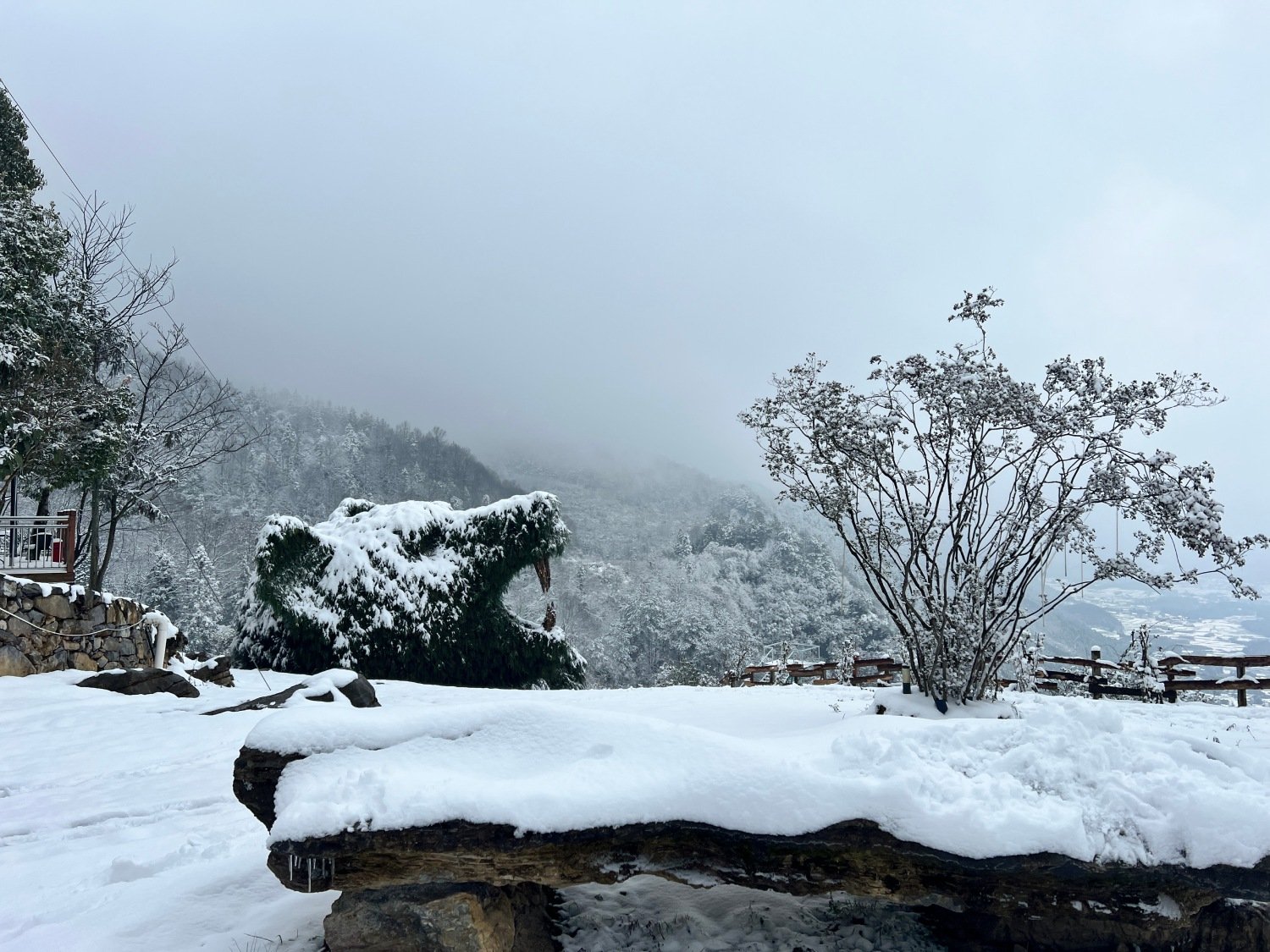 WINTER | Luo Xiaoyong