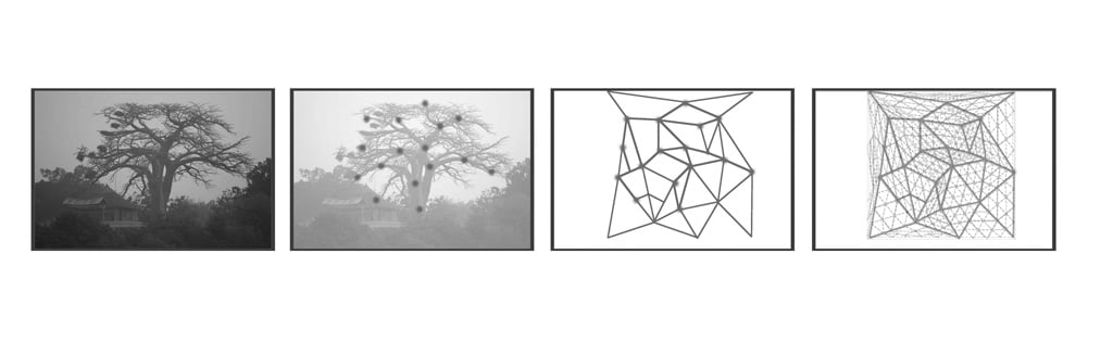 Baobab Tree Kanopi | © Tabanlioglu Architects