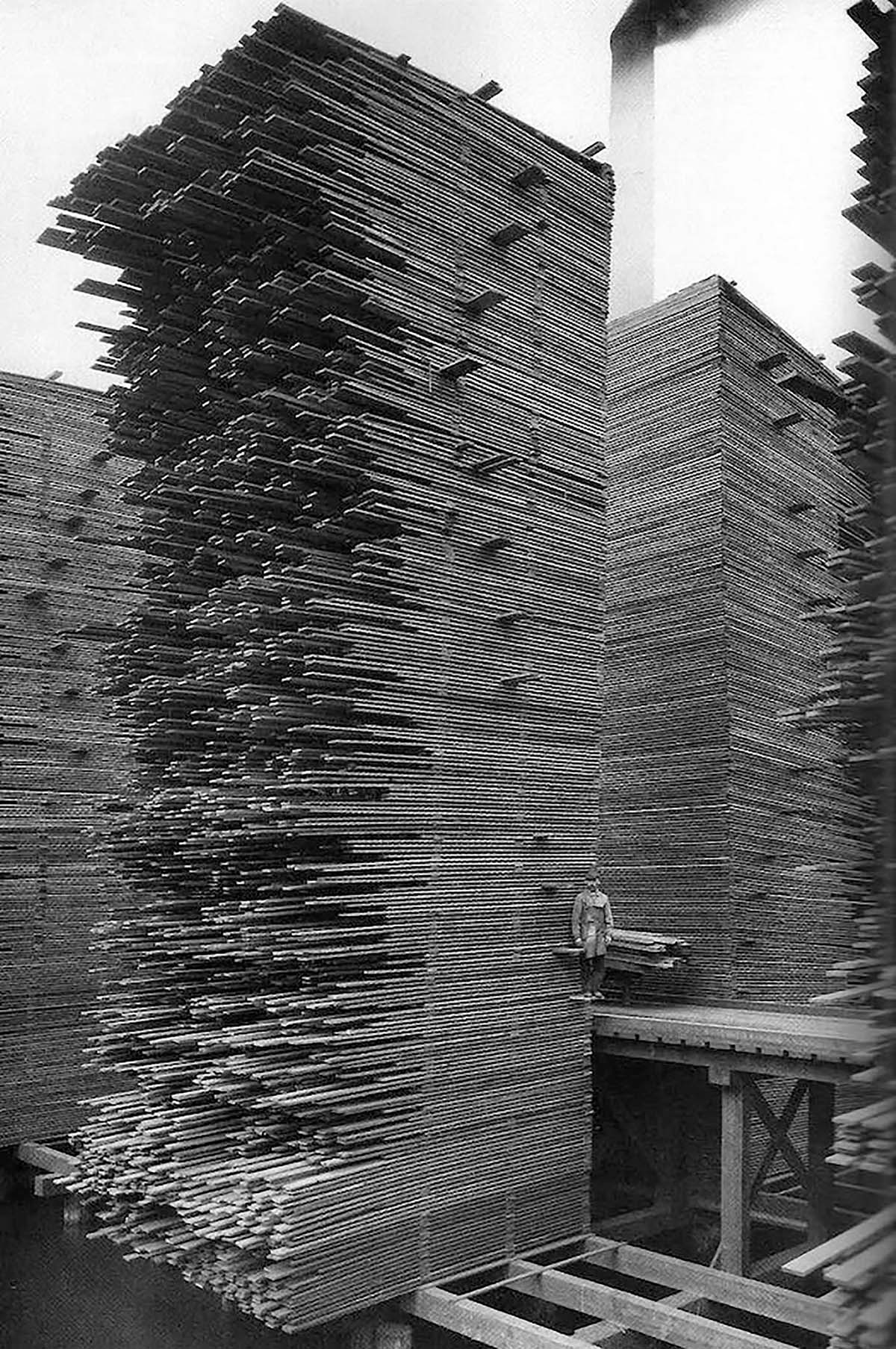  | Stacks of lumber, Seattle Cedar Manufacturing Plant, Ballard, 1958, Photo by Webster & Stevens. Digital Collection: Museum of History & Industry Photograph Collection. Courtesy of the Pavilion of the United States at the 17th International Architecture Exhibition – La Biennale di Venezia