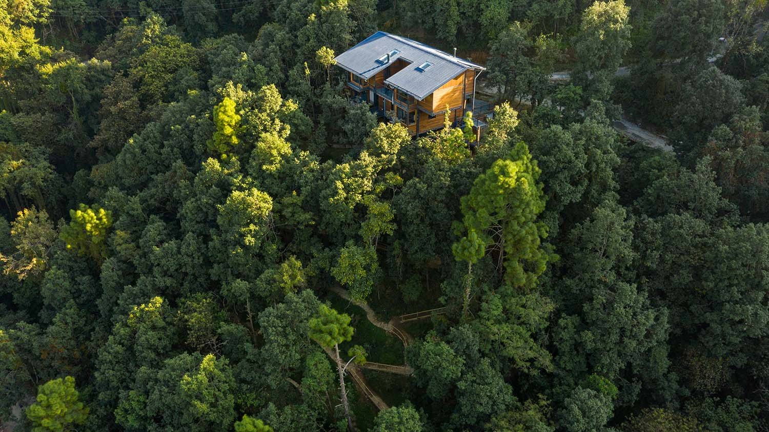  | The Villa in the Woods, © Andre J. Fanthome, courtesy of Studio Lotus
