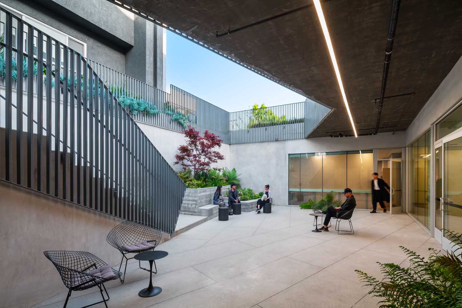 Victory Wellness Center, PATTERNS | ©Here & Now Agency [Paul Vu] , courtesy of Patterns