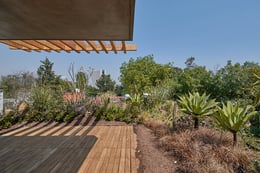 Roofgarden | Ricardo de la Concha