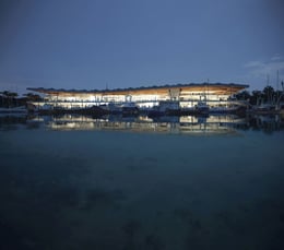 Sydney Fish Market evening view | MIR