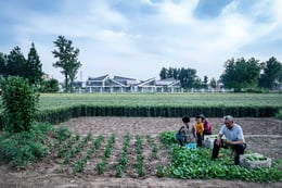 view of kindergarten from nearby harvest fields 3 | WU Qingshan