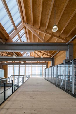 The hall is characterized by the wooden construction of the sawtooth roof | David Matthiessen