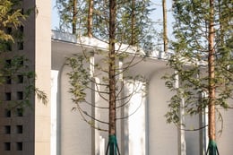 The cryptomeria tree’s under-canopy space is very high, which creates view openings for visitors; meanwhile, its dense canopy is optimal for parameter buffering. | Holi landscape photography