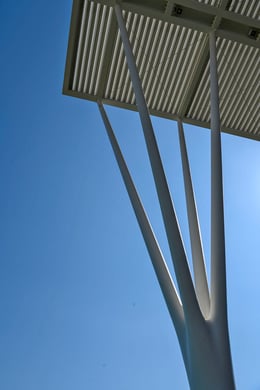 pillar tree detail | Maurizio Marcato