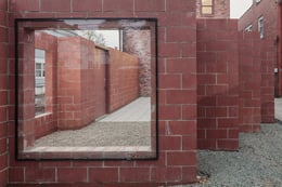 zig zag line captures the erratic movement of cats | Florian Holzherr