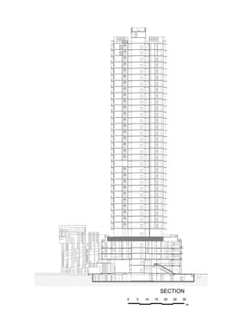 Section | Architects 61