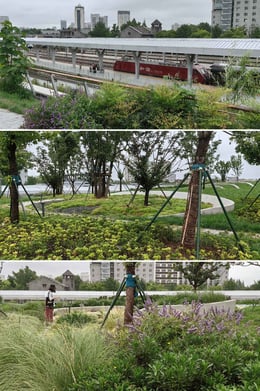 Growing in time on the roof garden | Z'scape