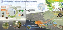 A restoration ecology approach maximizes the co-benefits of carbon sequestration in living biomass and soil carbon and renews regional biodiversity. | Sasaki
