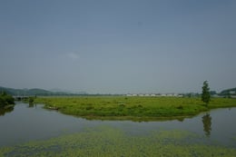 The found condition of the site: vast areas of rice paddies | Tanghua Architects