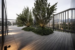 Rooftoop | Alex Filz