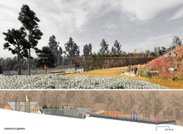 botanical garden: milkweed pollinator garden + west elevation | University of Arkansas Community Design Center
