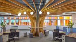 A ‘Banyan Tree’ element flanked in the centre brings the collaborative space together | Paul Raftery