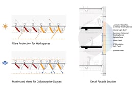 Elevation with Colour Code and Fin Angles | Morphogenesis
