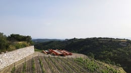 Rubrum Winery Office | Office Istanbul Architects