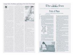 Composite News Articles About Chelsea, New York | Louise Braverman Architect