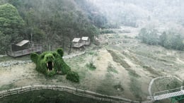 Aerial perspective | Luo Xiaoyong