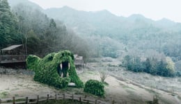 Panorama | Luo Xiaoyong
