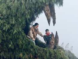 Tourists enjoying themselves | Luo Xiaoyong