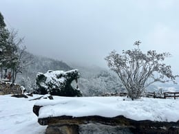 WINTER | Luo Xiaoyong