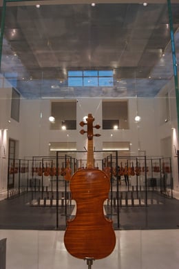 Museo del Violino, Arkpabi