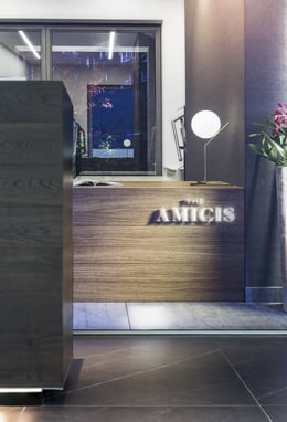 The Amicis