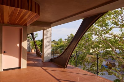 Hide and Seek Apartments, inspired by an ancient sycamore in Los Angeles